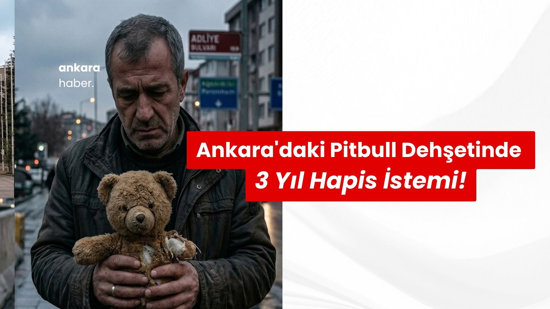Ankara’da Pitbull Dehşeti Sonrası İddianame Hazır: Sahibine 3 Yıl Hapis İstemi!