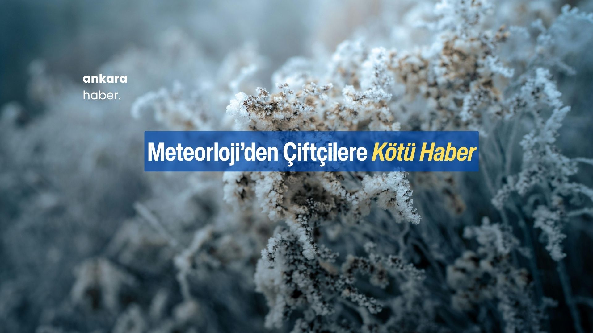 Ankara Valiliği'nden Kritik "Zirai Don" Uyarısı: 3 Gün Sürecek!