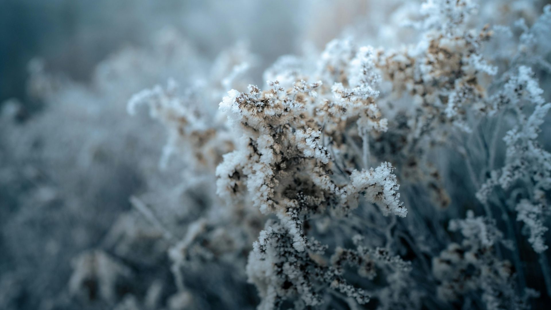 Ankara'da Dondurucu Gece: Sıcaklık 0 Dereceye Düşüyor!