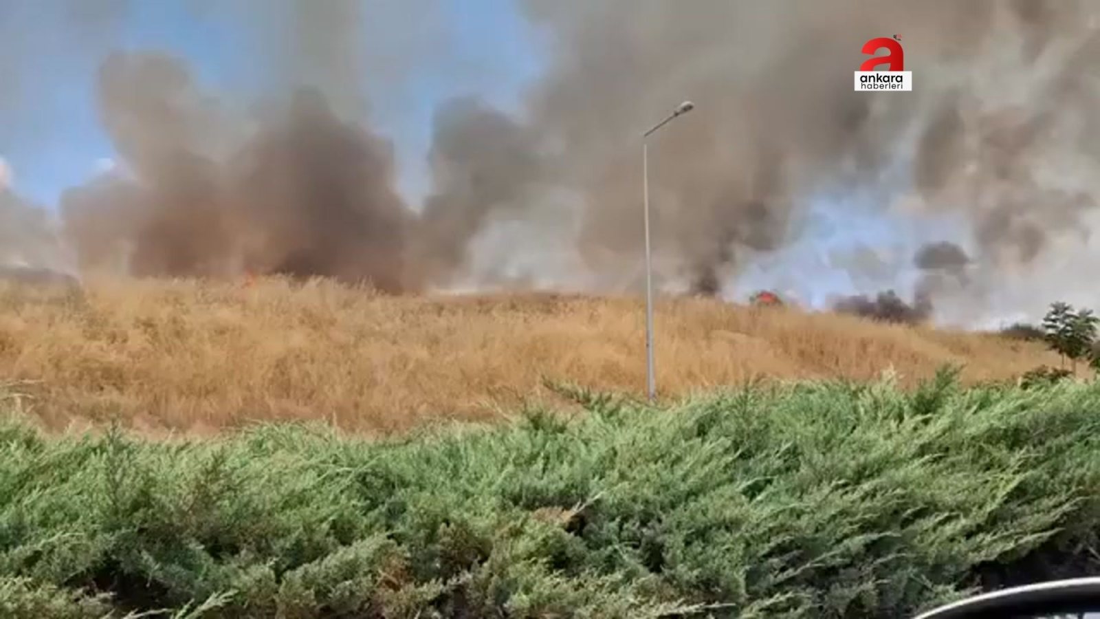 Yenimahalle'deki Otluk Alan Yangını Söndürüldü